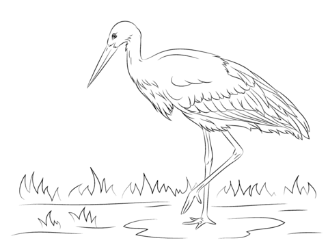 White Stork Coloring Page